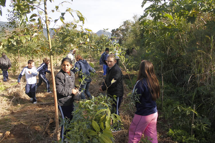 Folder Seminario - frente