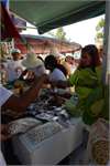 Feira-sementes